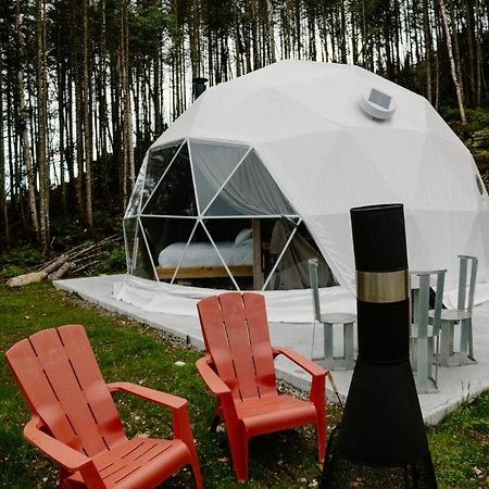 Апартаменты Les Diamants De L'Eternel Saint-David-de-Falardeau Экстерьер фото